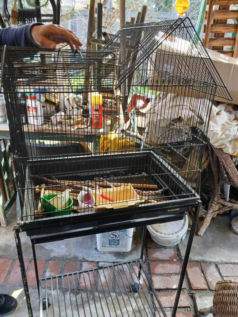 Bird Cage