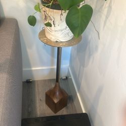 Beautiful Live Plant 🌱 With Base and Contemporary Stand - Like New!