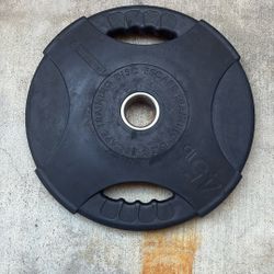 45lb Gym Plates (set of 4)