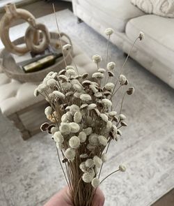 Dried Flowers