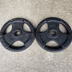 Used 35lb Pair Of Rubber Coated Grip Plates Olympic Weight Plates 