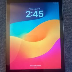 Apple iPad 