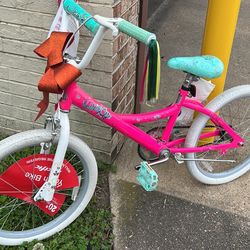 Pink Youth Bike 