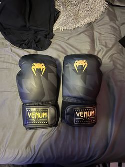 Venum 14 OZ Boxing Gloves