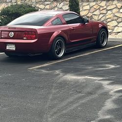 2007 Ford Mustang