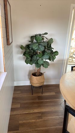 Artificial Fig Tree
