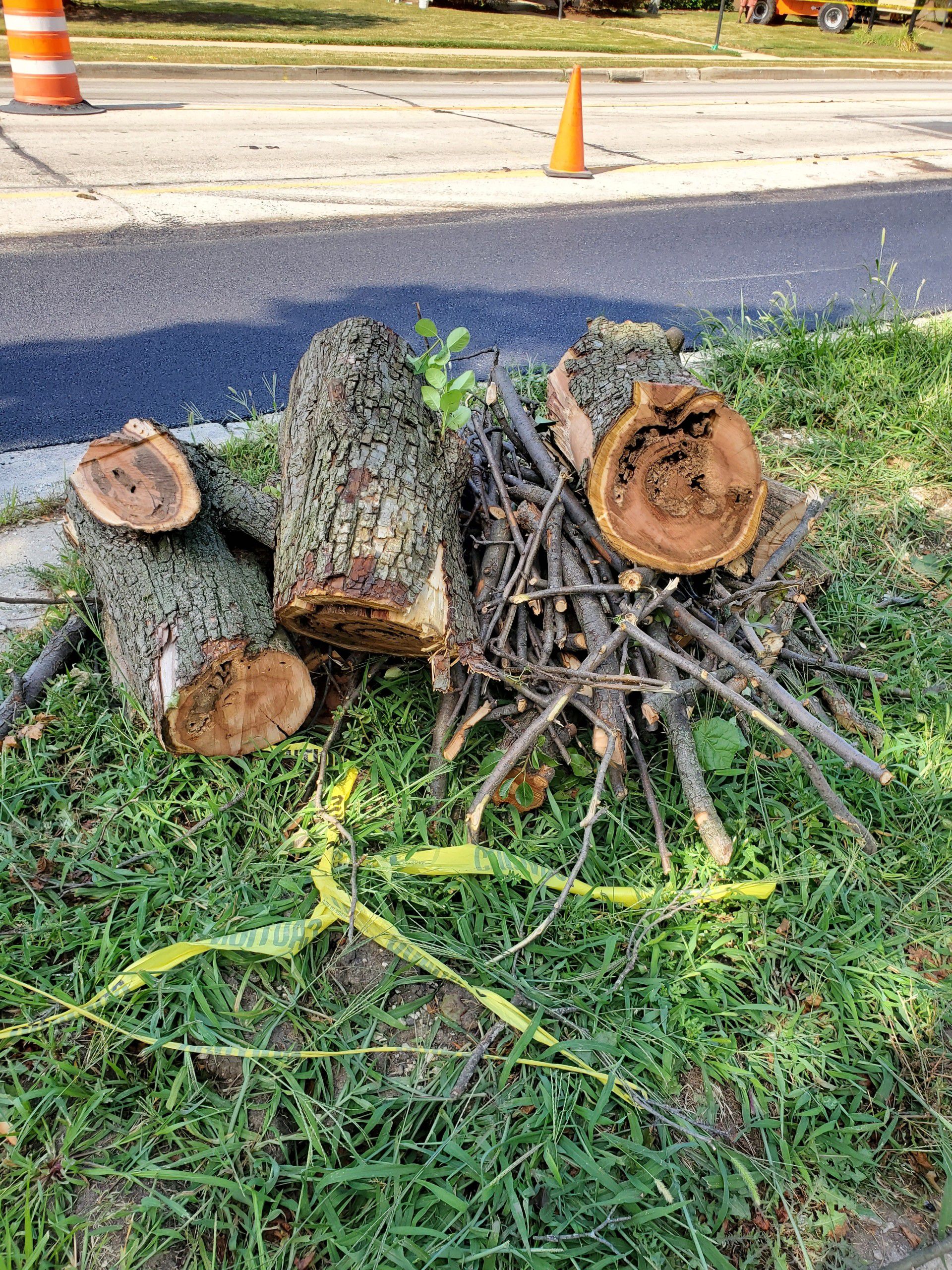 Free firewood, pick up at 472 w st charles rd, elmhurst