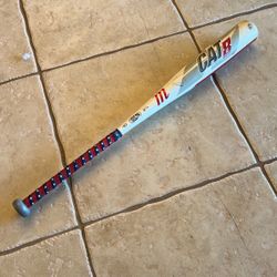 Cat8 Baseball Bat