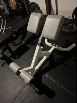 Rdl / back extension commercial gym