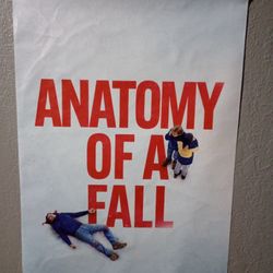 Anatomy Of A Fall Canvas Poster Movie Premiere Wall Art Decor Room Aesthetic