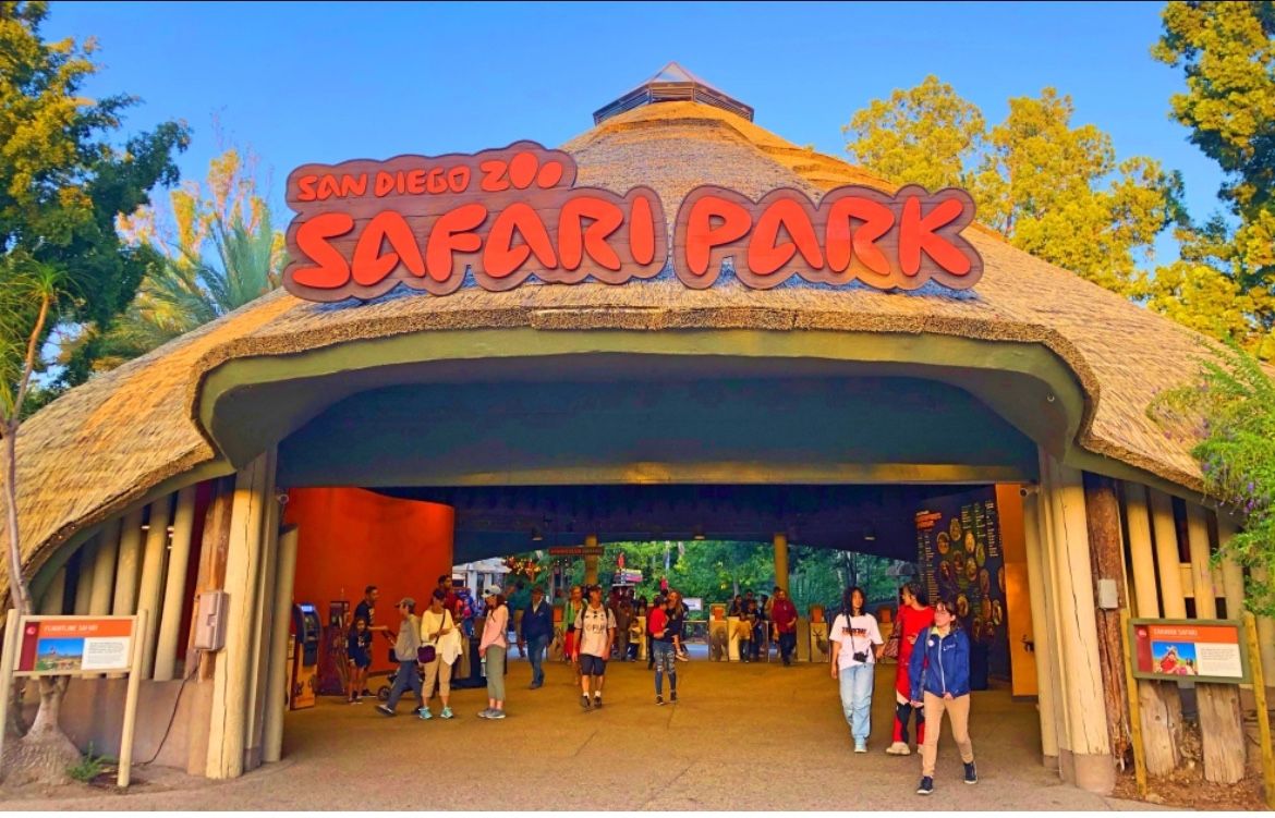 Safari Park Ticket (Read Description)
