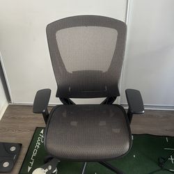 Unused Ergonomic Office Chair (originally $215)
