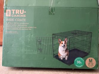 Dog. Cage