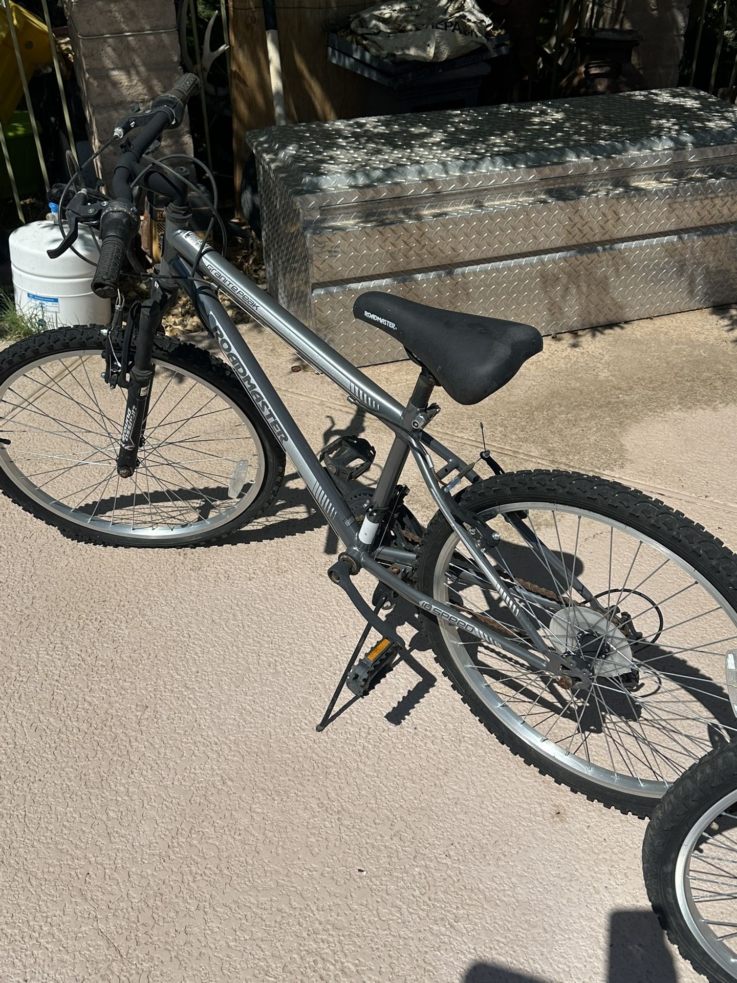 Roadmaster Bike