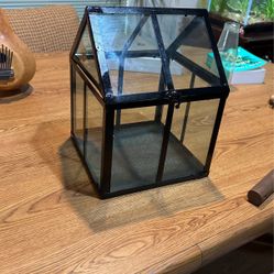 Mini Green House 