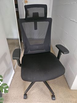 Black Ergonomic Mesh Office Chair with Headrest (Hydraulics Frozen)