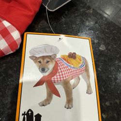 Pet Costume