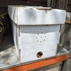 Honeybee Hive