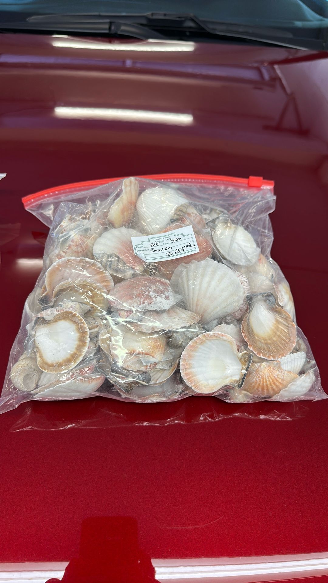 Shells