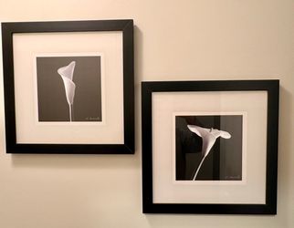Set of 2 Framed Calla Lily Black & White Photos