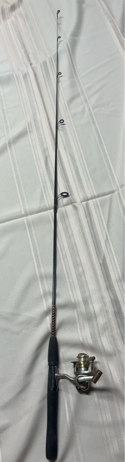 Shakespeare Ugly Stik Fishing Rod With Reel