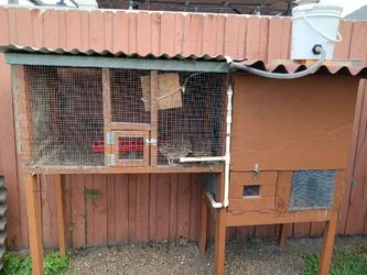 Quail /chick Brooder