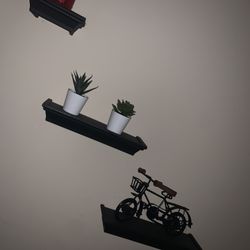 Wall Shelves 