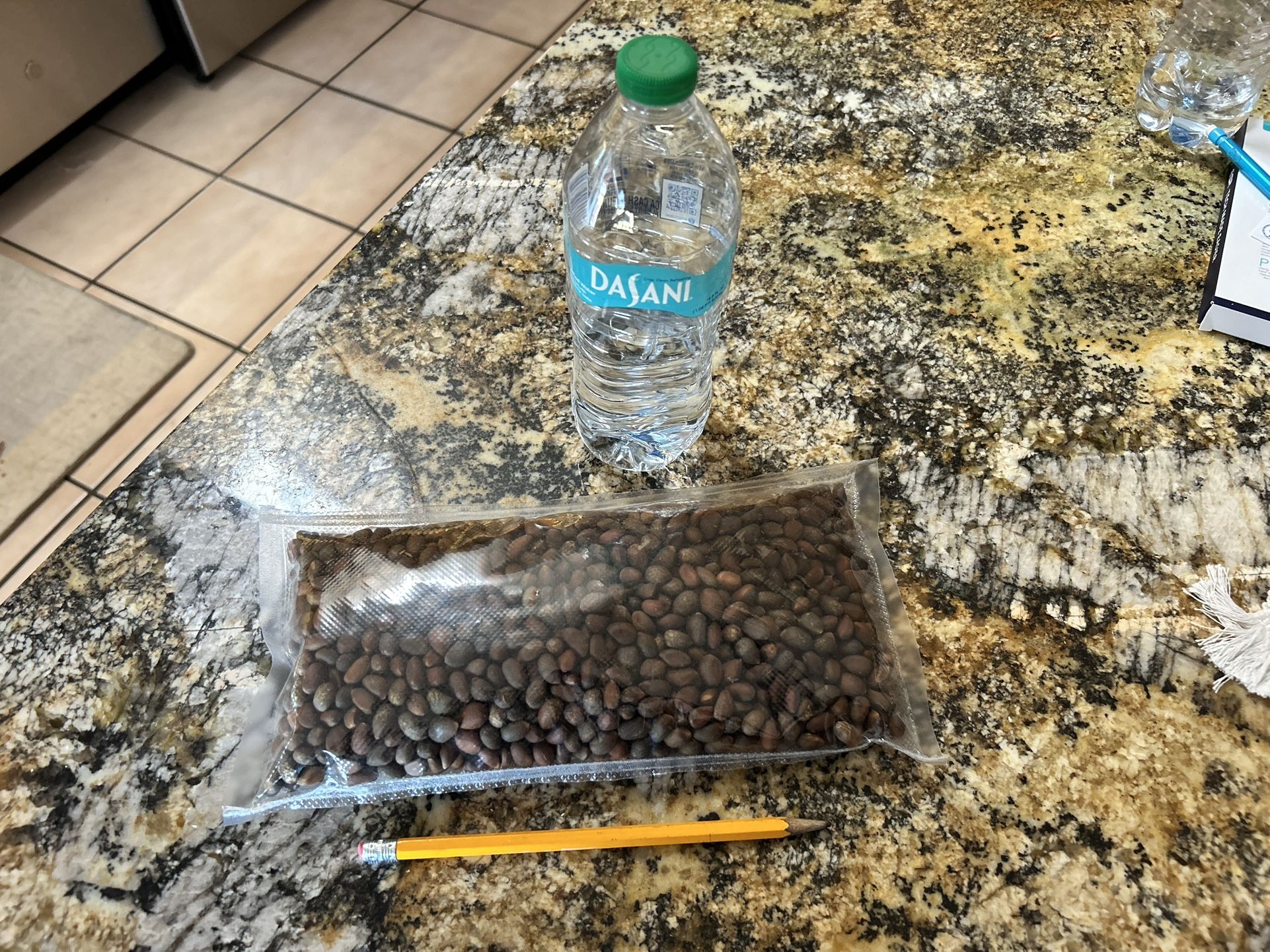 New Mexico Piñion Nuts, Not Roasted