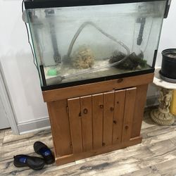 Fish Tank, Aquarium 