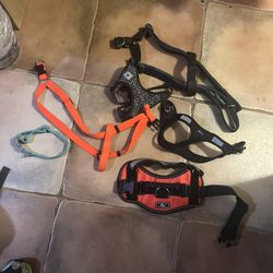 Dog Harnesses 