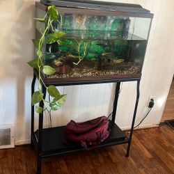 30 Gallon Fish Tank 