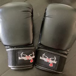 Boxing Gloves By Century M 58 Large Size  Reduced $5