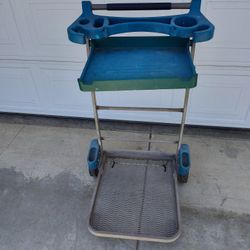 Garden Dolly Plants And Tools ( I Will Not Respond To Is Available)