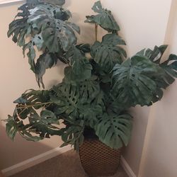 ARTIFICIAL HOUSE PLANT