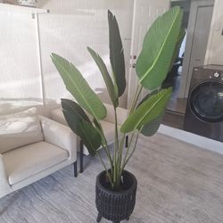 Fake Plant 5 Feet 
