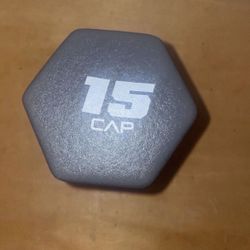 15 Lb Dumbbell 