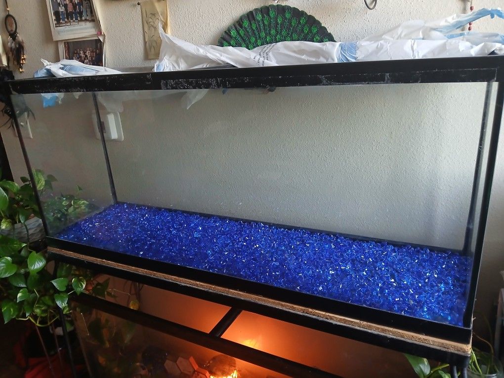 Tetra Glass Aquarium 55 Gallons, Rectangular Fish Tank