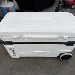 Igloo Cooler