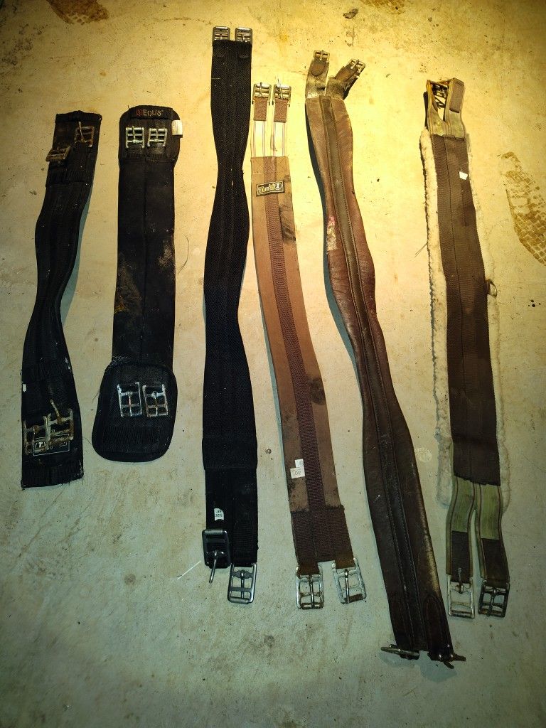 Horse Dressage And English Girth