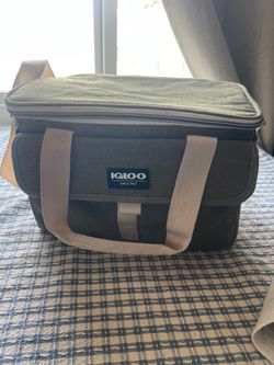 Igloo