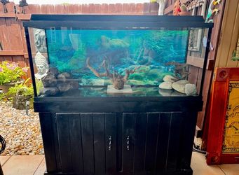 Fish Tanks various sizes