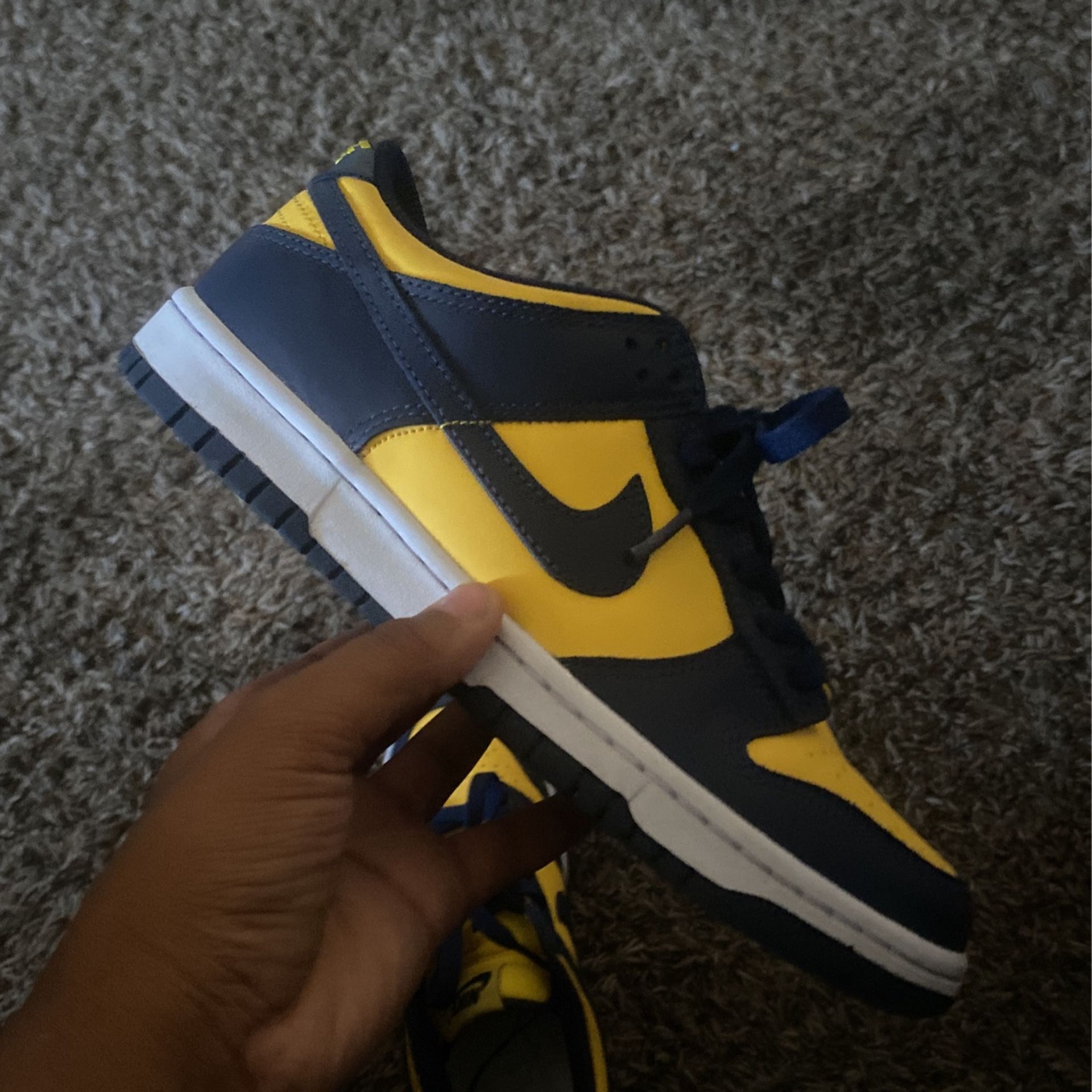 Nike Dunk Low Michigan(2021)