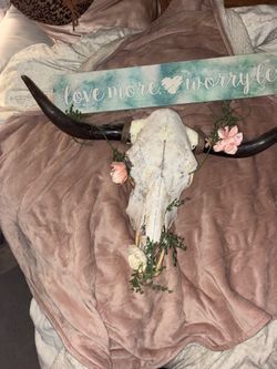 Bull skull