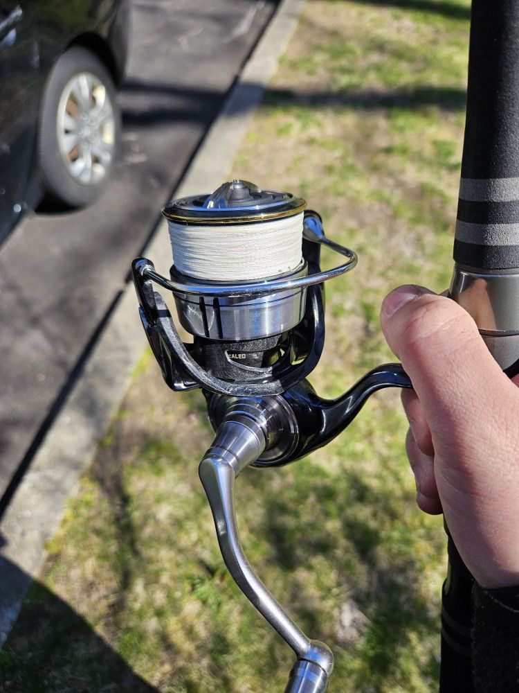 Daiwa Certate 5000d