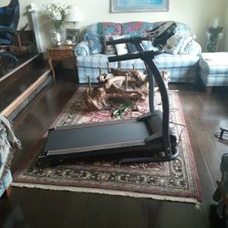 Foldable  Motorized Digital Treadmill 1100 W