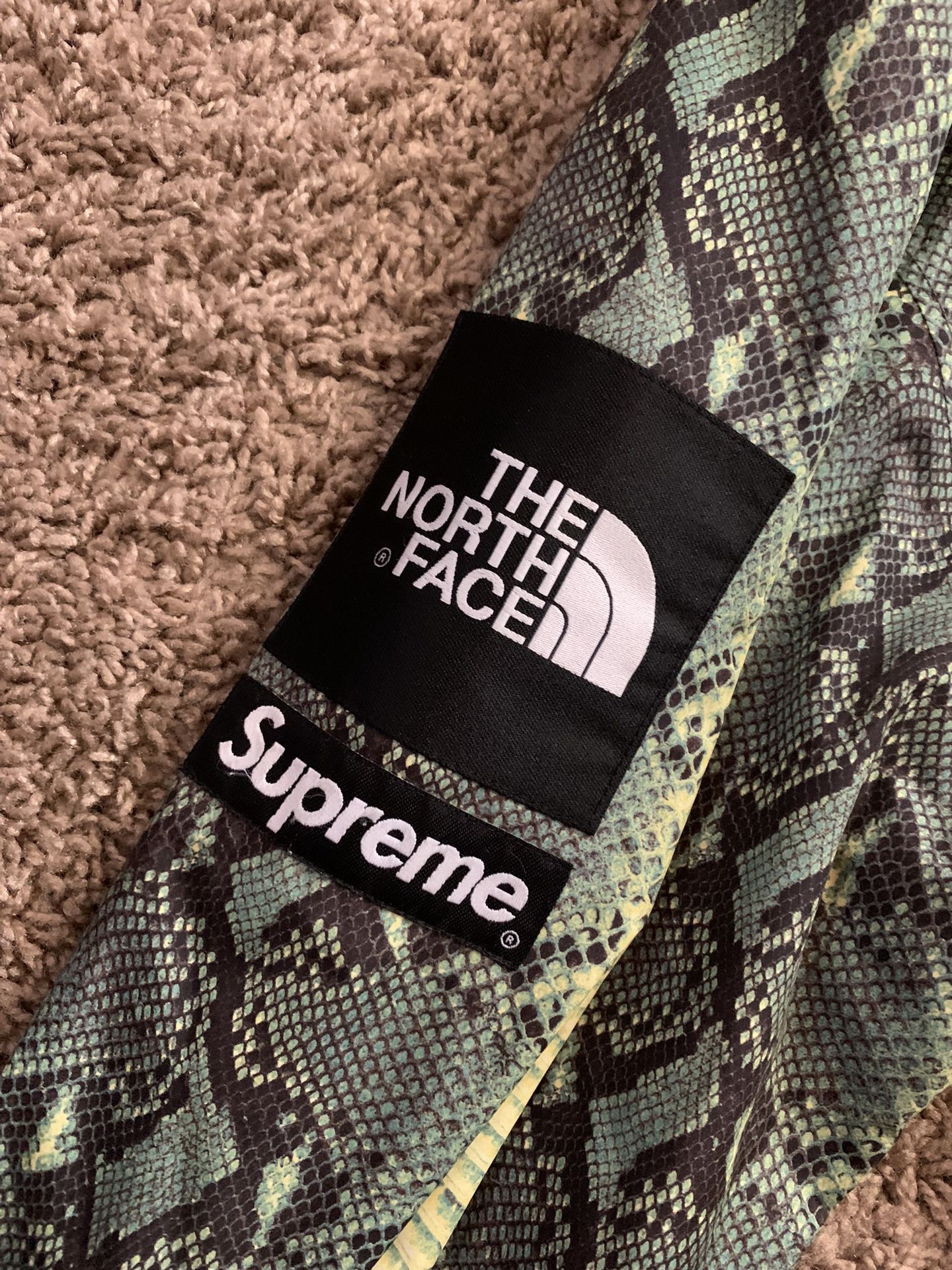 North Face x Supreme Snakeskin Jacket