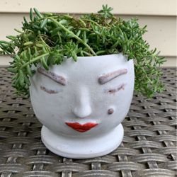 Unique handmade 3-D face planter pot with Succulents
