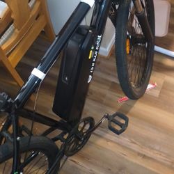 E-Bike Isinwheel 