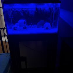 10 gallon fish tank with the stand 