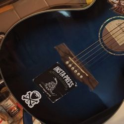 ibanez aeg10ii Acoustic Guitar 